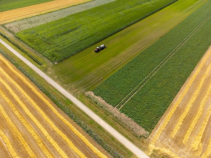 Strip cropping as seen from above. Picture: HAKO fotografie.