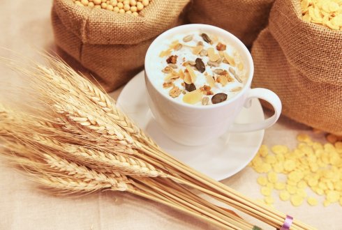 Technology Of Cereal Foods Digestibility Wur - 