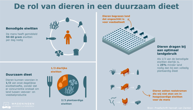 Lees het wetenschappelijke artikel 'Defining a land boundary for sustainable livestock consumption'