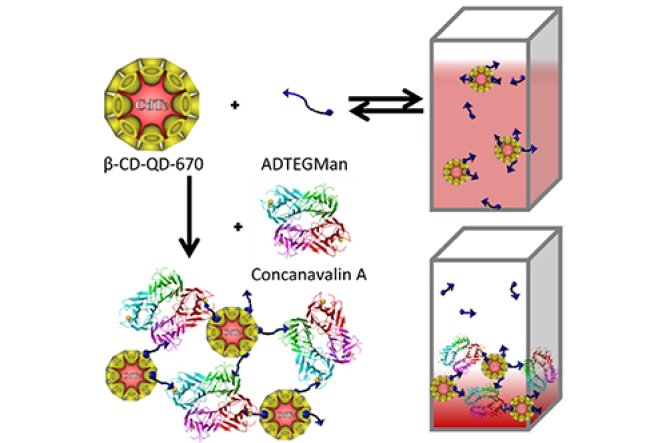 Supramolecular interactions in solution and on surfaces