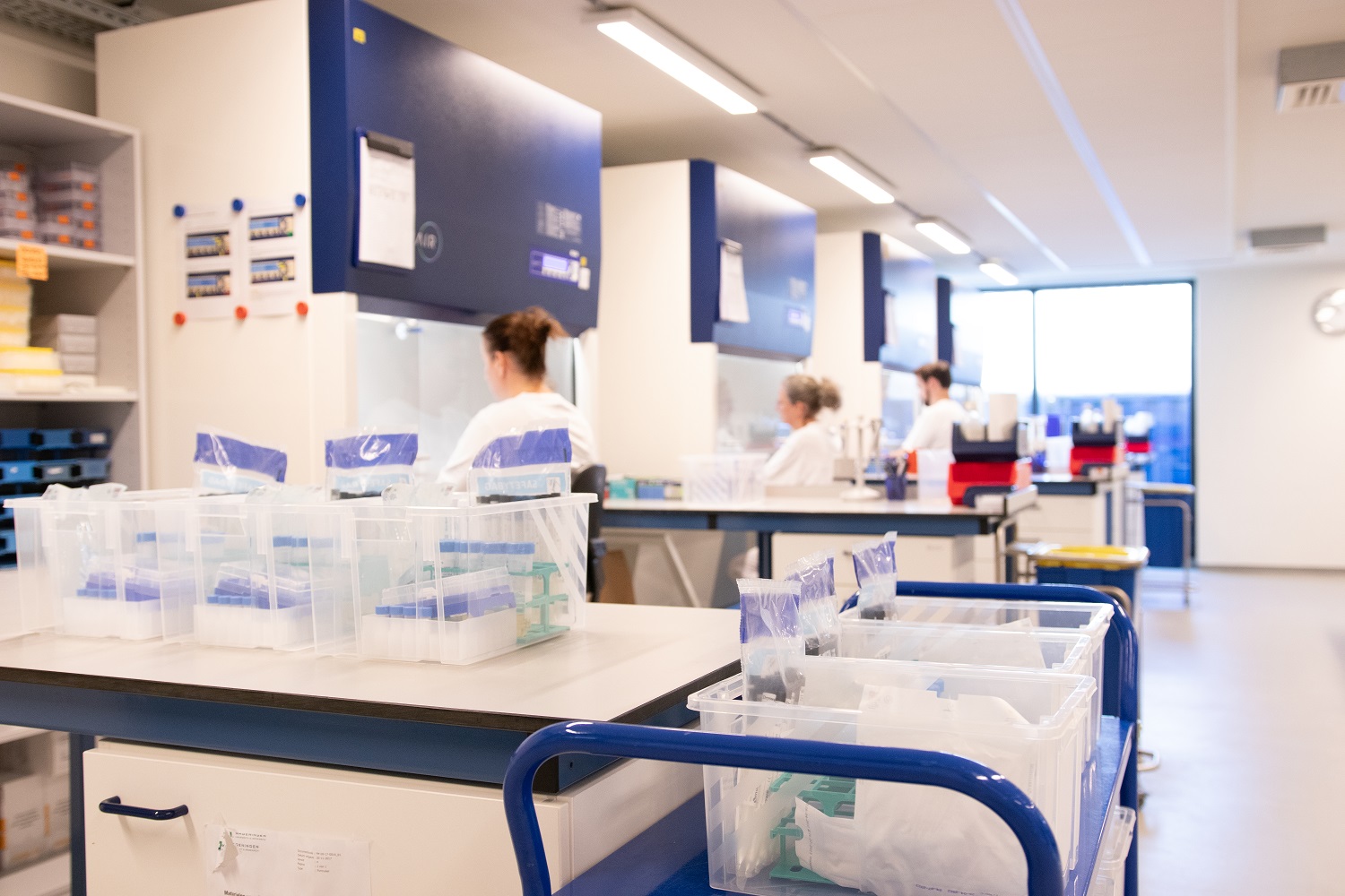 WBVR researchers in the laboratory, where they use the latest techniques to detect animal diseases. 