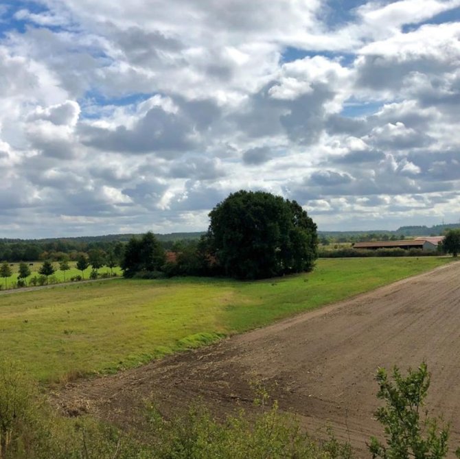 De Peelrandbreukzone zichtbaar in het landschap nabij Roermond. Door de unieke hydrologische situatie die ontstaat als gevolg van de breukzone in de ondergrond is het op het hogere Peelblok (links) natter dan in de laaggelegen Roerdalslenk (rechts). Dit breuksysteem is bepalend geweest voor het reliëf, de waterhuishouding, de cultuurhistorie en de natuur in de Peel en omgeving. Het is een mooi voorbeeld van hoe een zichtbaar aardkundig fenomeen een verhaal vertelt over een groter gebied. Foto: Hessel Woolderink.