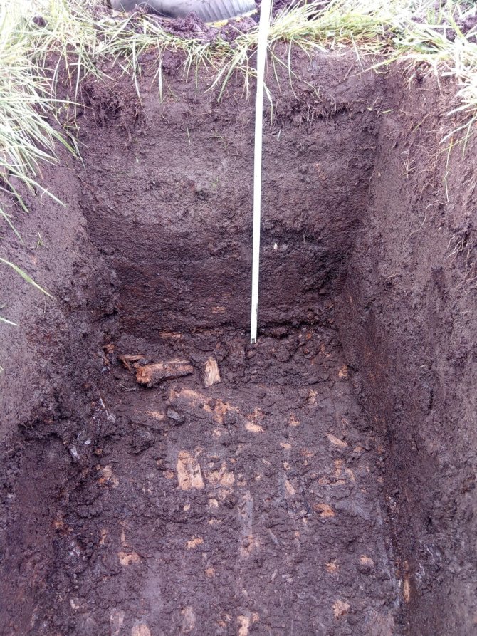 Profielkuil in bodem met bosveen in Zegveld. Houtresten zichtbaar onderin kuil. (Foto: Willy de Groot)
