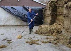 Figuur 2: Uitkuilresten terugvegen naar de kuilopslag helpt erfafspoeling te beperken.