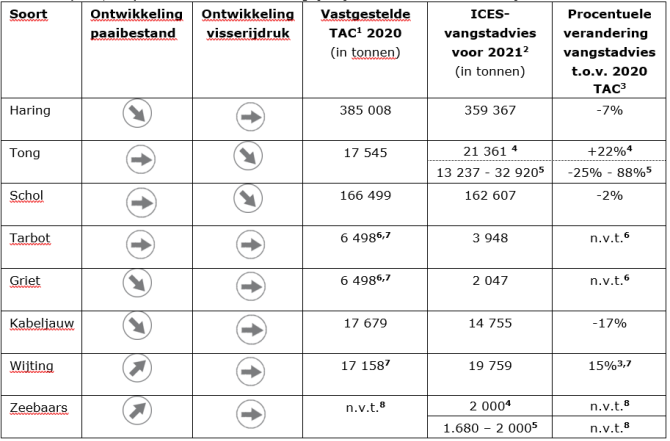 Tabel: Ontwikkelingen paaibestanden en visserijdruk, totaal toegestane vangsten in 2020 en ICES-advies voor 2021 (in tonnen) voor vissoorten die belangrijk zijn voor Nederlandse visserij.