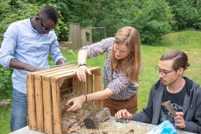 Making a bee hotel