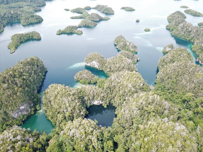 Marien meer met koraalgemeenschap in Raja Ampat (Indonesië), credits: Lisa Becking