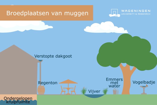 Rond het huis zijn veel plekjes te vinden waar muggen hun eitjes kunnen leggen.