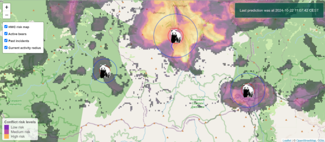 Bear conflict radar