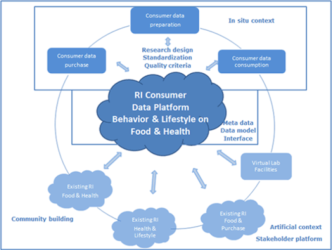 Conceptual framework of Richfields