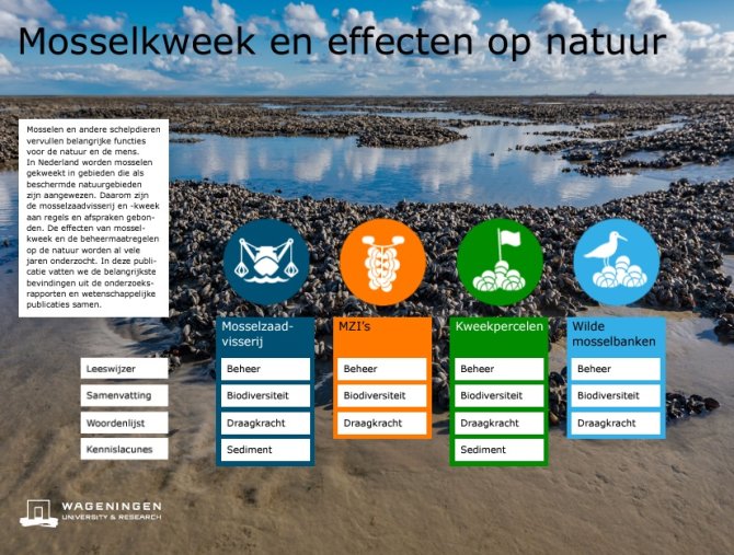 Interactieve PDF: Mosselkweek en effecten op de natuur (2024)