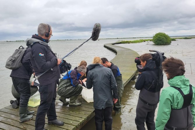 Samen met Vroege Vogels de fuiken legen (Foto: Vroege Vogels)