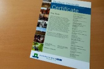 Studium Generale Certificate Program