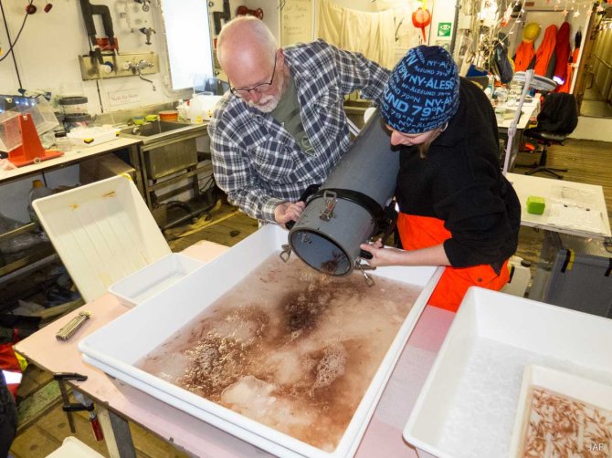 Jan and Fokje are having a look at the SUIT catch. The pink-orange colour shows that there is a lot of krill.