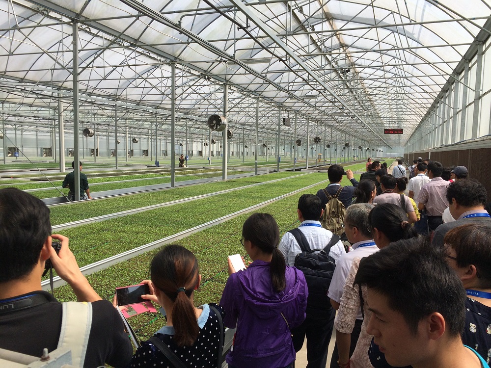 Greenhouse complex of plant breeding company Ball in Hubei, central China. Photo: Richard Visser