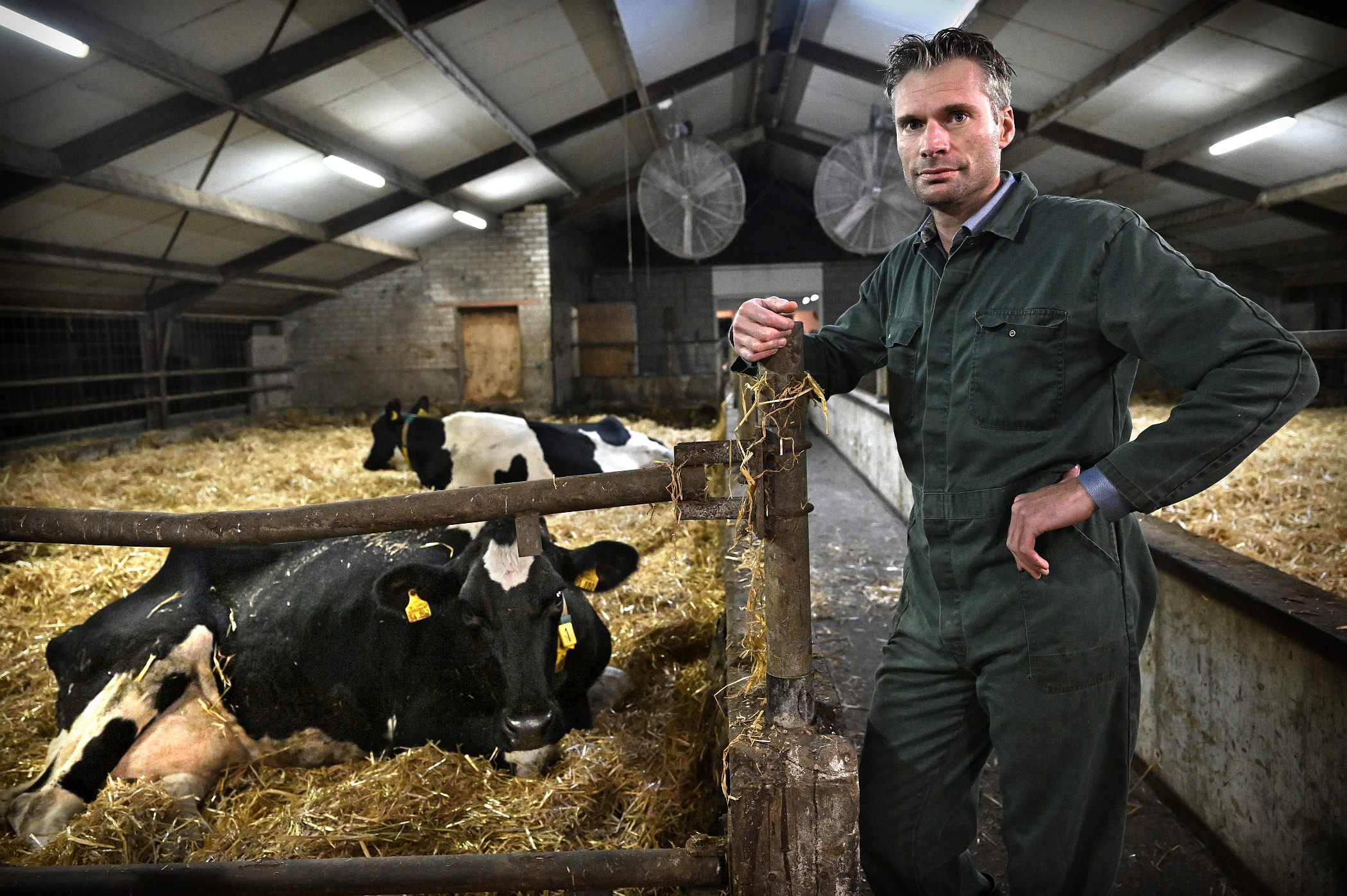 Dairy farmer Harm Wientjes in Oploo collaborates with three local arable farmers. Photo: Marcel van den Bergh