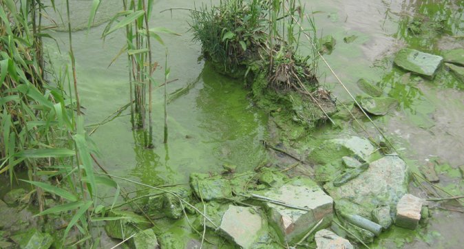 Wageningen Environmental Research WUR