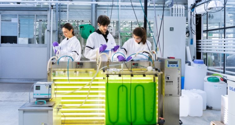 Scientists in a laboratory with an installation full of algae