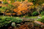 Nitobe Memorial Garden, UBC, Vancouver.jpg