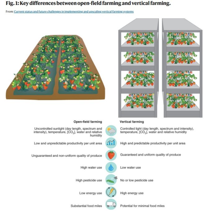 Belangrijkste verschillen tussen open teelt en vertical farming