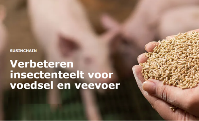 Artikel: Verbeteren insectenteelt voor voedsel en veevoer