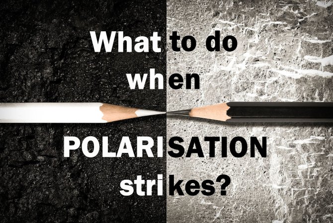 Inside Polarisation