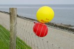 Franeker-A08656_balloonsinfence.jpg