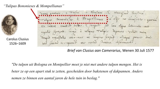 Foto van de brief van Clusius aan Camerarious, Wenen 1577 (Leiden University Library)
