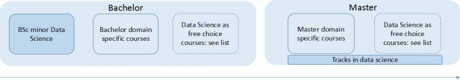BSc & MSc DS tracks.jpg