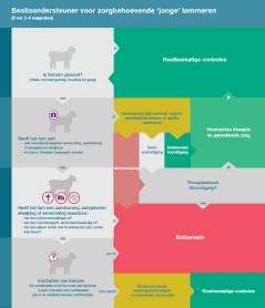 Jonge lammeren (PDF)