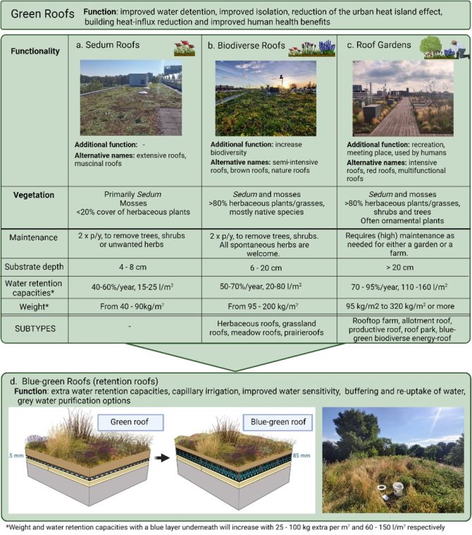 Figure 1. Classification of the different roof types used in literature and based on substrate depth, vegetation structure and functionality. Information about weight requirements and water retention capacities were taken from green roof company Optigrün (optigrun.nl), Factsheet Blue-green roofs (GreenDeal, 2018) and through field measurements and interviews with several Dutch green roof companies (ZinCo, VanGinkel Groep, Rooftop Revolutions and De Dakdokters). The functionality and vegetation cover are the most important determinants for categorization. Factors like maintenance, substrate depth, water retention capacities and weight can vary, but provide guidelines in this box.