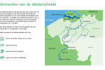 2_Infographic_Westerschelde_kenmerken Westerschelde.png