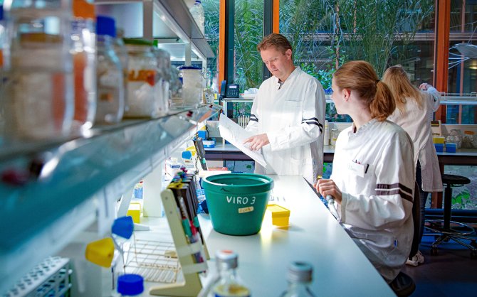 Gorben Pijlman at work in the lab (Photo: Eric Scholten)