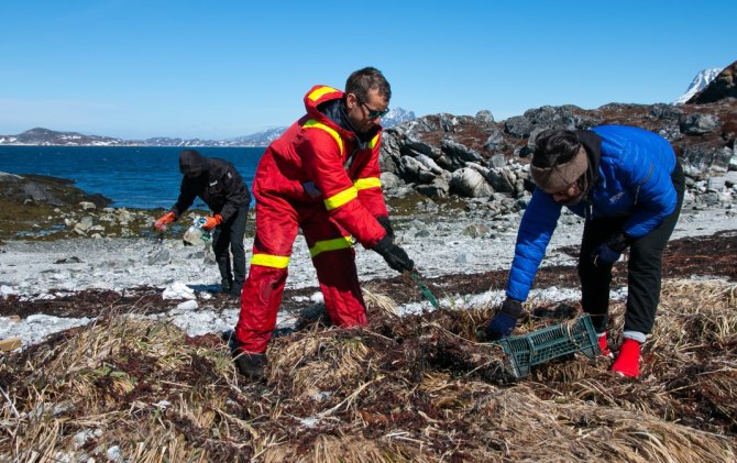 Greenland beach clean-up, photo by W.J. Strietman