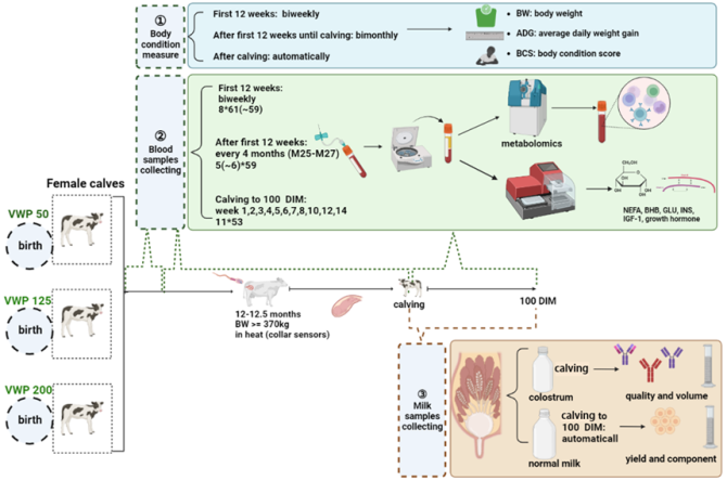 figure3.png