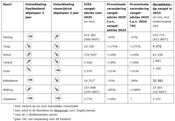 Tabel: Ontwikkelingen paaibestanden en visserijdruk, en ICES-advies voor 2025 (in tonnen) voor vissoorten die belangrijk zijn voor de Nederlandse visserij.
