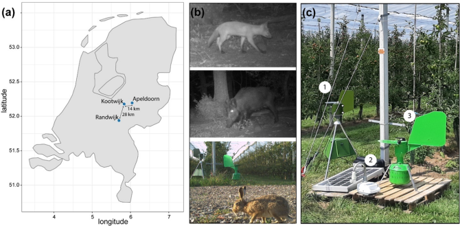 Figuur 1. Studie setup: (a) de drie sampling locaties, met Proeftuin Randwijk (boomgaard), Radio Kootwijk (bos) en Apeldoorn (zonnepark). (b) Voorbeeldopnames van de cameravallen met van boven naar beneden een vos in Apeldoorn, een wild zwijn in Radio Kootwijk en een haas bij Randwijk die allen ook werden teruggevonden met de luchtfilters. (c) De drie gebruikte commercieel beschikbare luchtsamplers.