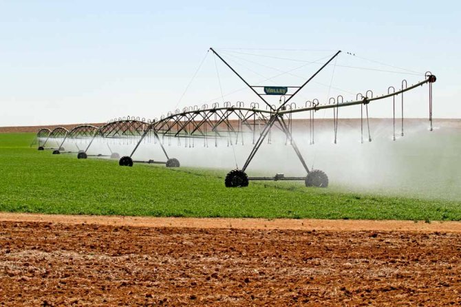 A recent study focused on measuring freshwater consumption in the production chain of milk – in other words, determining the ‘water footprint’ of Dutch milk. It made a distinction between the various types of water consumption: Green, blue and grey water. Green water is rain water available for growth of plants; blue water is ground or surface water that is largely used to irrigate food or feed crops; and grey water is a virtual amount of water required to dilute polluted water. The study shows that green water consumption is not automatically negative, as this rain water available for plant growth would evaporate with natural vegetation as well. A change in the availability of green water does have an effect on the environment. The effect of blue water consumption appears to be largely region-specific. For instance, the production of broccoli in Spain has a greater impact on the environment than the production of milk in the Netherlands. Grey water consumption is an indirect measure of water pollution and says little about the impact of water consumption on the environment.