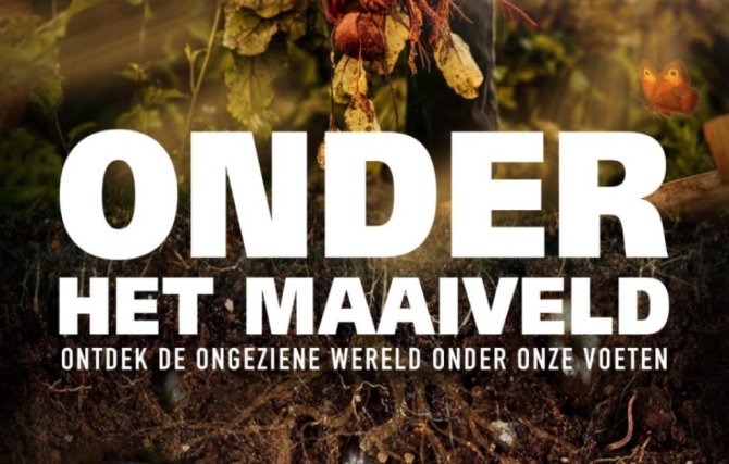 Film: Onder Het Maaiveld