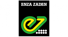 Enza Zaden