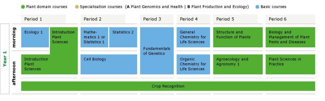 Studieprogramma Plantenwetenschappen jaar 1