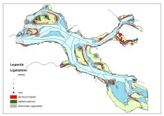 Figuur. Verstoord (rood) en onverstoord (groen) rusthabitat van de Gewone zeehond, uitgaande van een verstoringszone van 450 m rond iedere potentiële verstoringsbron. De daadwerkelijk waargenomen ligplaatsen zijn eveneens weergegeven (gezamenlijk ligplaatsen van Gewone en Grijze zeehonden).