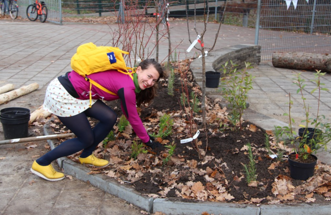 Me planting rosemary bushes and other herbs for Panta Rhei’s Tiny Food Forest