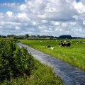 Landelijk Meetnet effecten Mestbeleid  