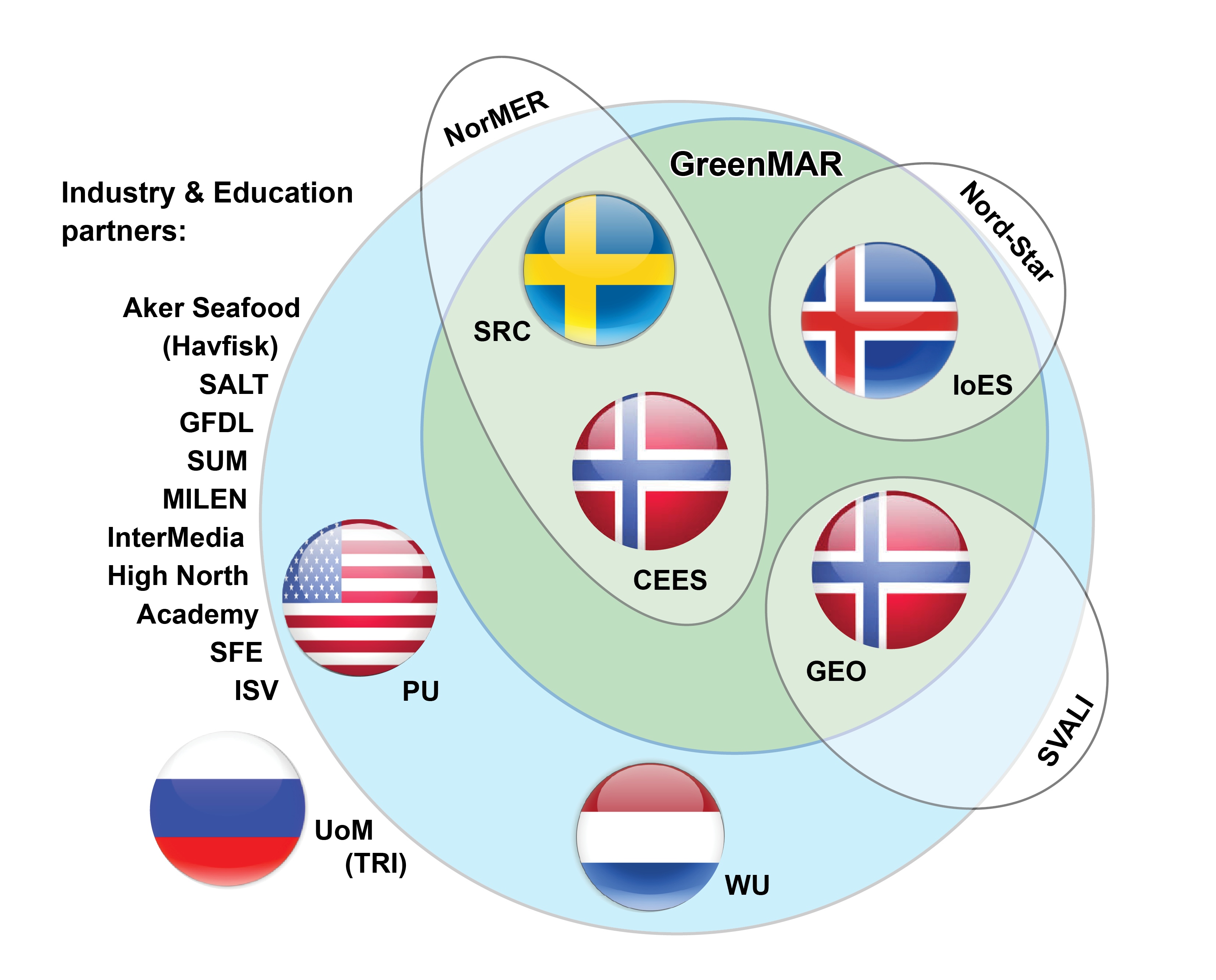 network-from-proposal6.jpg