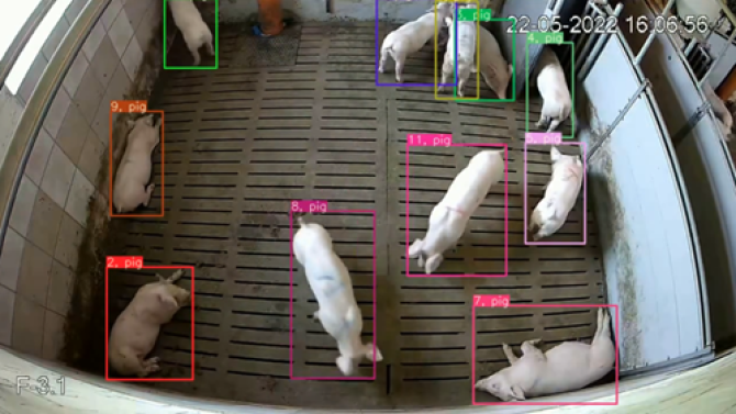 Figure 1: Example of a frame with annotated bounding boxes