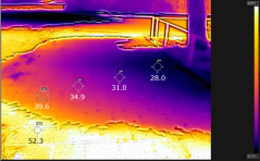 Foto van een trottoir in de buurt van een boom in de Tarthorst (boven), en corresponderend warmtebeeld (beneden). De getallen in het warmtebeeld geven de temperatuur (in °C) op de gemarkeerde plekken. Duidelijk is te zien hoe de temperatuur van het trottoir toeneemt naarmate de schaduwwerking geleidelijk afneemt en fors hoger is voor plekken in de zon. De foto’s zijn gemaakt op 25 juni 2020, tegen 4 uur in de middag (Foto’s: Cor Jacobs).