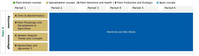 Studieprogramma Plantenwetenschappen jaar 3