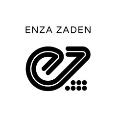 Enza Zaden