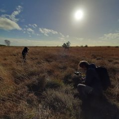 Onderzoekers worden gefilmd voor een documentaire over het Fochteloërveen. Foto: Roy van Beek